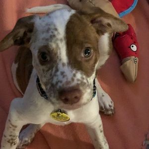 Meet your Posher, Kimberly